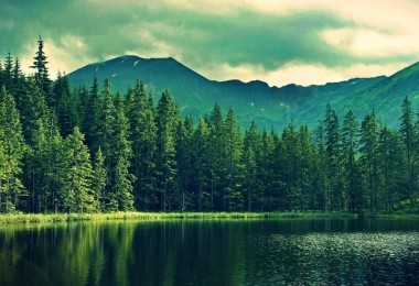 華時捷環(huán)保入選《國家鼓勵發(fā)展的重大環(huán)保技術(shù)裝備目錄》技術(shù)裝備支撐單位