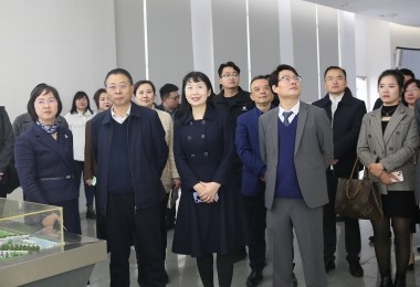 華時(shí)捷科技參加湘江新區(qū)“結(jié)伴同行·海外領(lǐng)秀”座談會(huì)，共謀國(guó)際化發(fā)展新路徑